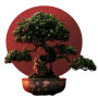 Bonsai Global, LLC
